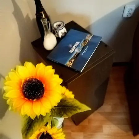 Beachside In The Center Apartment *